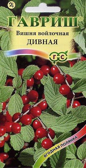 Вишня Семена Купить