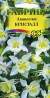 Аквилегия Кристалл (гавриш) 0,05 гр  – купить в г. Москва