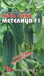 Огурец Метелица F1 (биотехника) 8 шт