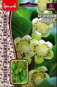 Актинидия Аргута (Григорьев) 20шт Актинидия Аргута (Григорьев) 20шт
