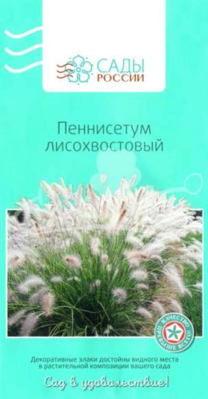 Пеннисетум Лисохвостовый (сады России) 10 шт – купить в г. Москва Пеннисетум Лисохвостовый (сады России) 10 шт – купить в г. Москва