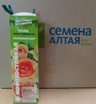 Роза Алтай чайно-гибридная Саламансар 1 шт