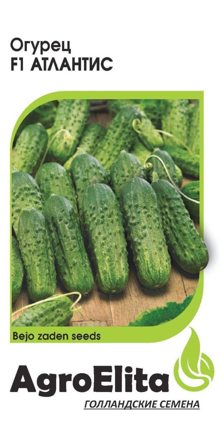 Купить Семена Огурец Уран