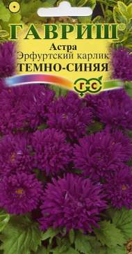Астра Эрфуртский карлик темно-синяя (гавриш) 0,3гр Астра Эрфуртский карлик темно-синяя (гавриш) 0,3гр