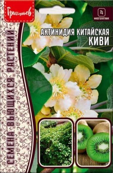Актинидия Китайская Киви (Григорьев) 30шт  – купить в г. Москва