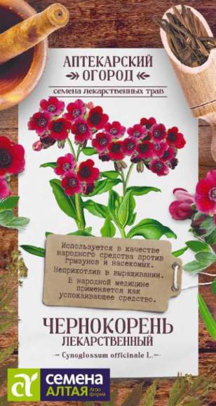 Чернокорень лекарственный (семена Алтая) 0,1 гр  – купить в г. Москва