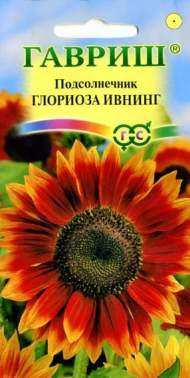 Подсолнечник декоративный Глориоза Ивнинг (гавриш) 0,5 гр Подсолнечник декоративный Глориоза Ивнинг (гавриш) 0,5 гр