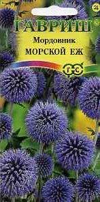 Мордовник Морской еж (гавриш) 0,3гр Мордовник Морской еж (гавриш) 0,3гр