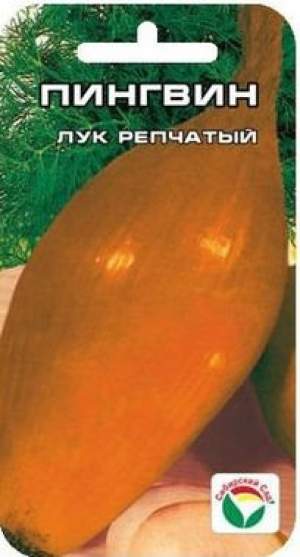 Лук пингвин описание. Лук сорт пингвин. Лук шалот деликатес нк. Лук эллан. Лук пингвин описание.