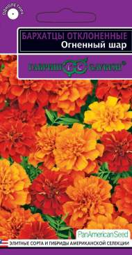 Бархатцы Огненный шар (гавриш) 5 шт