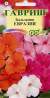 Бальзамин Евразия смесь (гавриш) 0,03гр  – купить в г. Москва