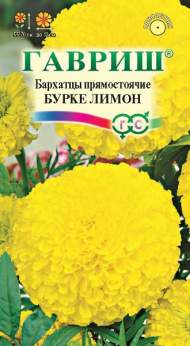 Бархатцы Бурке лимон (гавриш) 0,3 гр