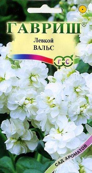 Гавриш левкой изысканная смесь