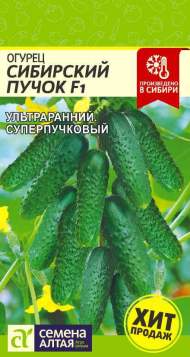 Огурец Сибирский пучок F1 (семена Алтая) 5шт Огурец Сибирский пучок F1 (семена Алтая) 5шт