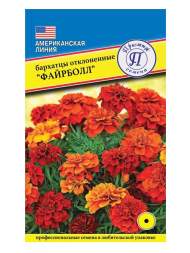 Бархатцы Файрболл (престиж) 5 шт Бархатцы Файрболл (престиж) 5 шт