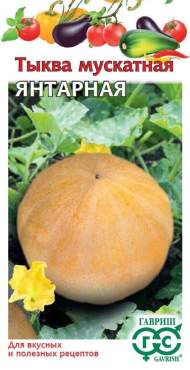 Тыква мускатная Янтарная (гавриш) 1гр Тыква мускатная Янтарная (гавриш) 1гр