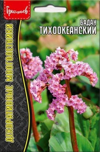Бадан Тихоокеанский (Григорьев) 0,01гр 