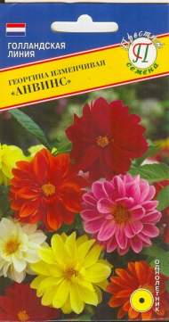 Георгина Анвинс (престиж) 20 шт Георгина Анвинс (престиж) 20 шт