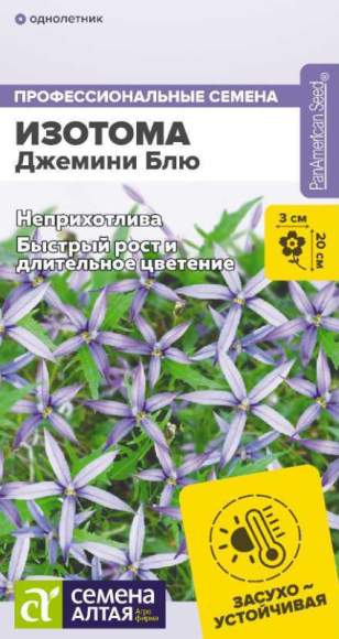 Изотома Джемини Блю (семена Алтая) 3 шт  – купить в г. Москва