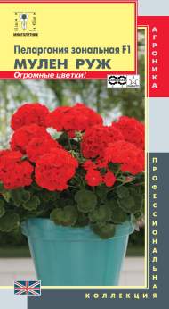 Пеларгония Мулен Руж F1 (плазмас) 3 шт