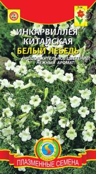 Инкарвиллея Белый лебедь (плазмас) 7шт