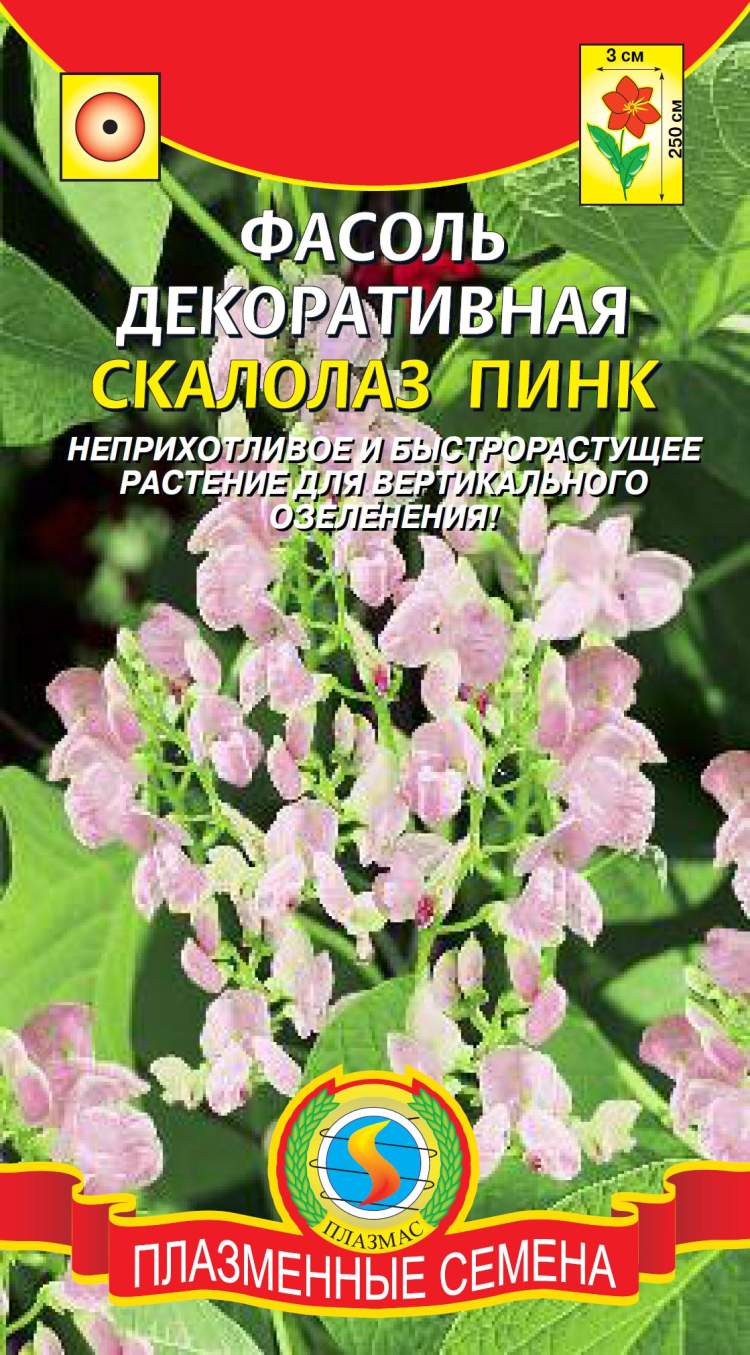Плазменные Семена Магазины
