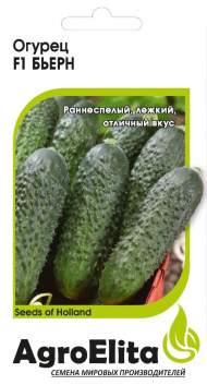 Огурец Бьерн F1 (агроэлита) 5шт (bejo) Огурец Бьерн F1 (агроэлита) 5шт (bejo)