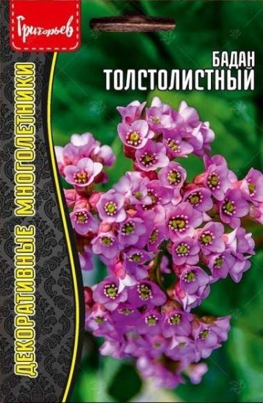 Бадан Толстолистный (Григорьев) 0,01гр 