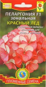 Пеларгония Красный лед F1 (п) 3шт Пеларгония Красный лед F1 (п) 3шт