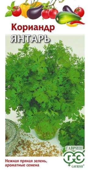 Кориандр (кинза) Янтарь (гавриш) 2,0гр 