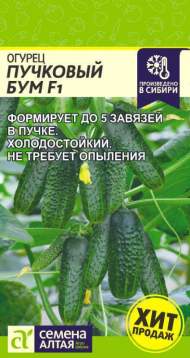Огурец Пучковый бум F1 (семена Алтая) 5 шт Огурец Пучковый бум F1 (семена Алтая) 5 шт