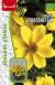 Биденс Золотистый (Григорьев) 0,1гр  – купить в г. Москва