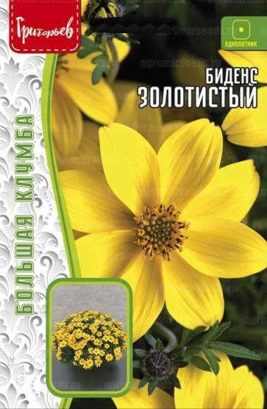 Биденс Золотистый (Григорьев) 0,1гр  – купить в г. Москва