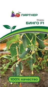 Огурец Бинго F1 (партнер) 5шт Огурец Бинго F1 (партнер) 5шт