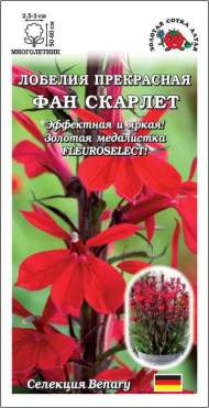 Лобелия Фан скарлет (зса) 5 шт многолетняя Лобелия Фан скарлет (зса) 5 шт многолетняя