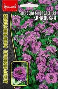 Вербена Канадская многолетняя (Григорьев) 0,05гр Вербена Канадская многолетняя (Григорьев) 0,05гр