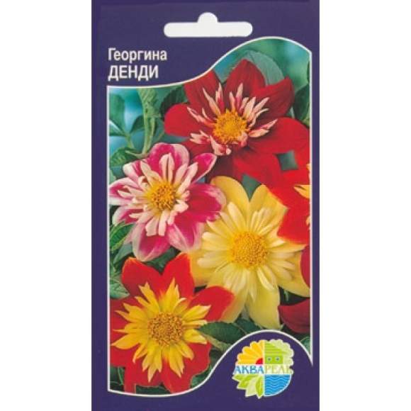Георгина Денди смесь (акварель) 20шт 