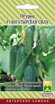 Огурец Богатырская сила F1 (манул) 10 шт