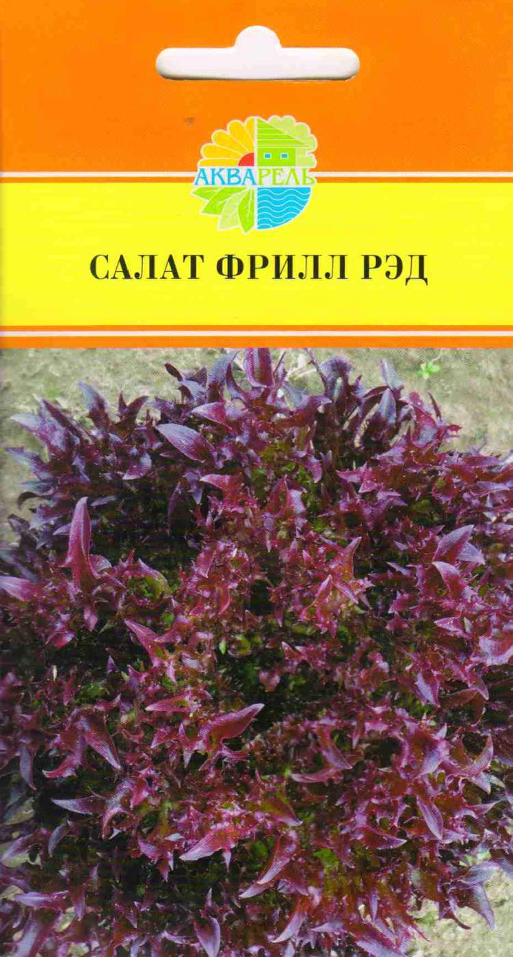 Базелла Салат Купить Семена