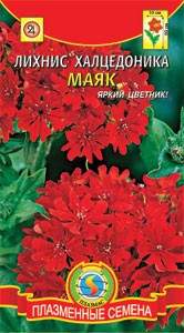 Лихнис Маяк (плазмас) 0,1гр 