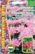 Монарда Дудчатая (Григорьев) 0,1 гр  – купить в г. Москва