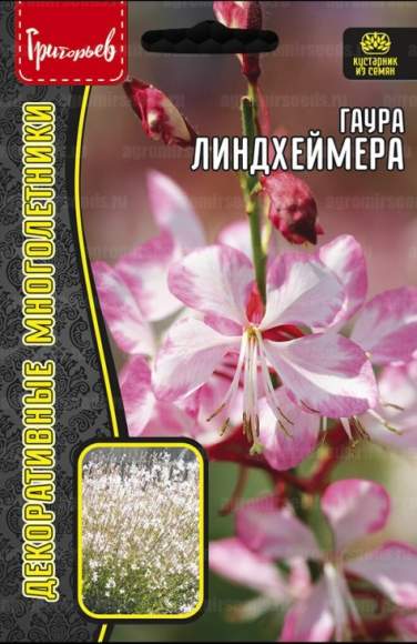 Гаура Линдхеймера (ослинник) (Григорьев) 0,1гр 