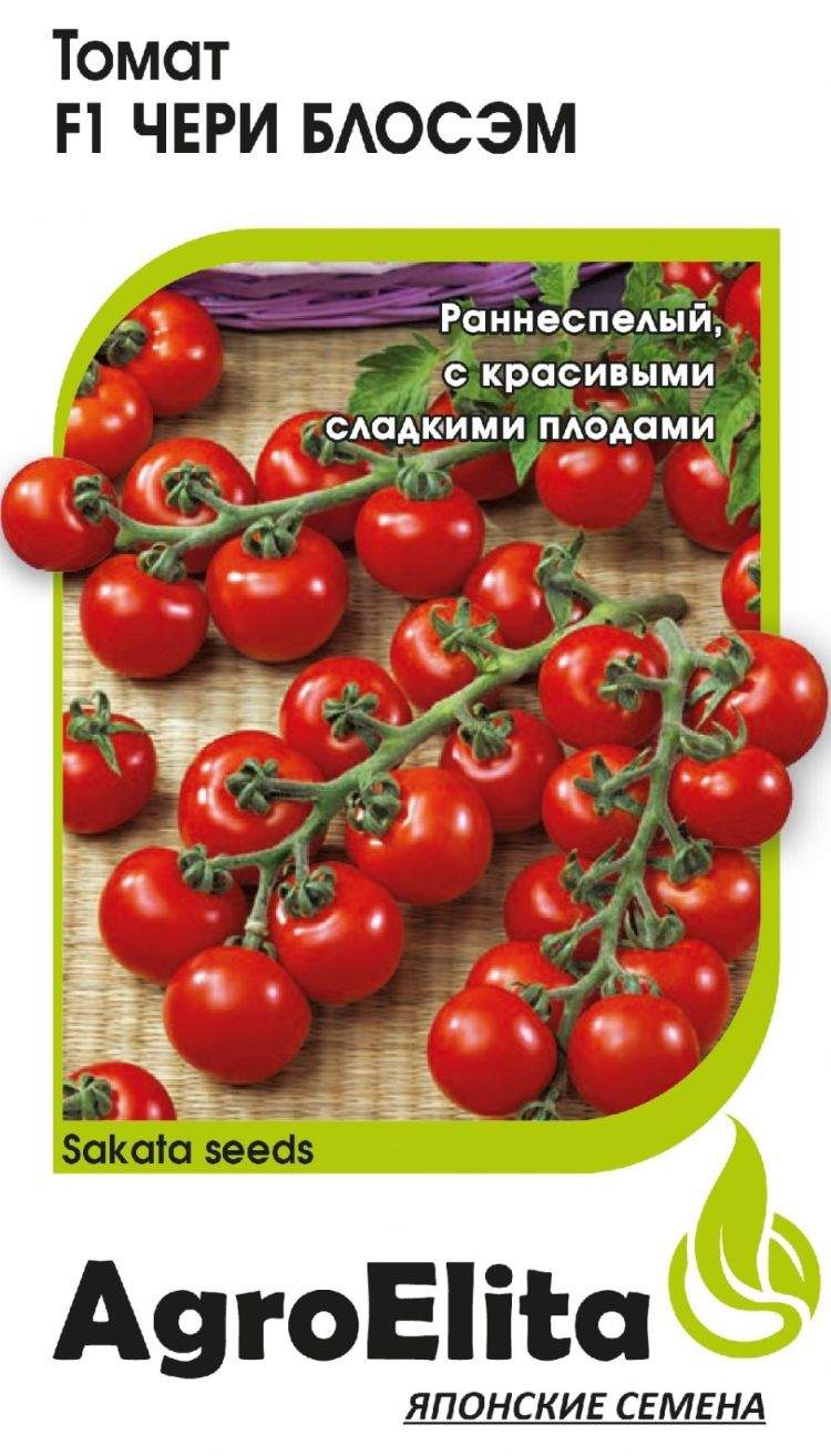 Томат Черри Семена Новосибирск Купить