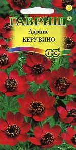 Адонис Керубино (гавриш) 0,1гр Адонис Керубино (гавриш) 0,1гр