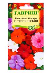 Бальзамин Тропический смесь F1 (гавриш) 4шт