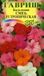 Бальзамин Тропический смесь F1 (гавриш) 4шт