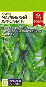 Огурец Маленький хрустик F1 (семена Алтая) 5 шт Огурец Маленький хрустик F1 (семена Алтая) 5 шт