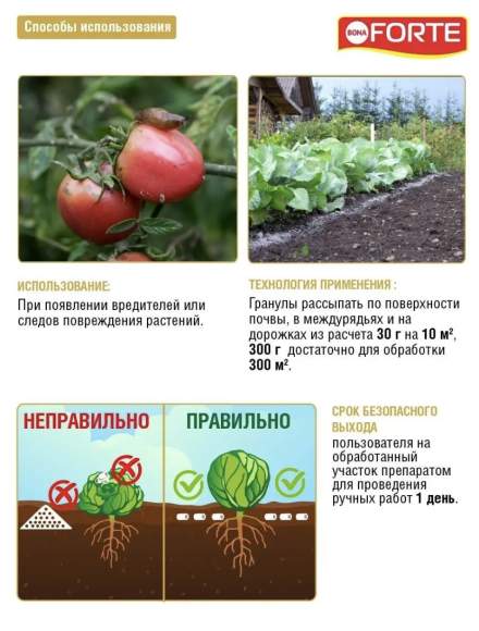 Средство от улиток и слизней 0,3 кг (Форте,банка)  – купить в г. Москва