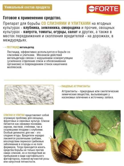 Средство от улиток и слизней 0,3 кг (Форте,банка)  – купить в г. Москва