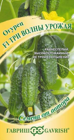 Огурец Три волны урожая F1 (гавриш) 10шт 
